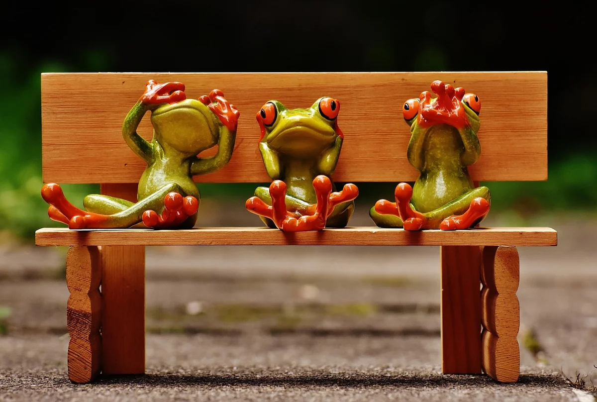 grenouilles