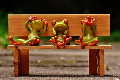 grenouilles